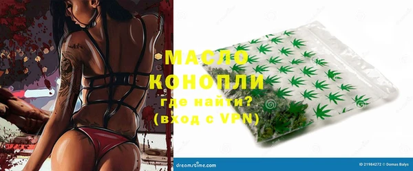 гидра Надым