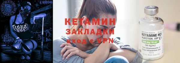 гидра Надым