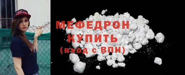 гидра Надым
