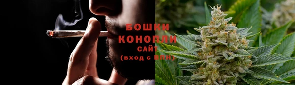 гидра Надым