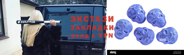 гидра Надым