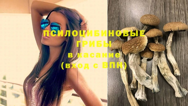 2c-b Навашино