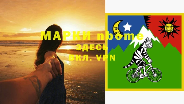 гидра Надым