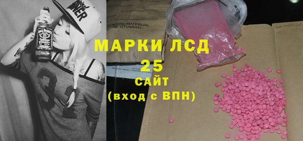 гидра Надым