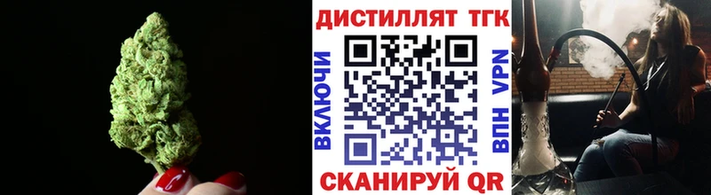 ТГК концентрат  Купить где  Северо-Курильск 
