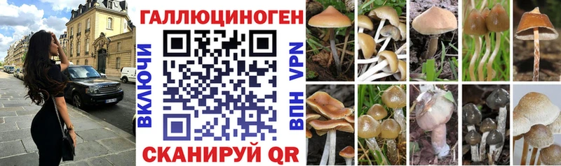 Купить закладки  Северо-Курильск  Псилоцибиновые грибы GOLDEN TEACHER 